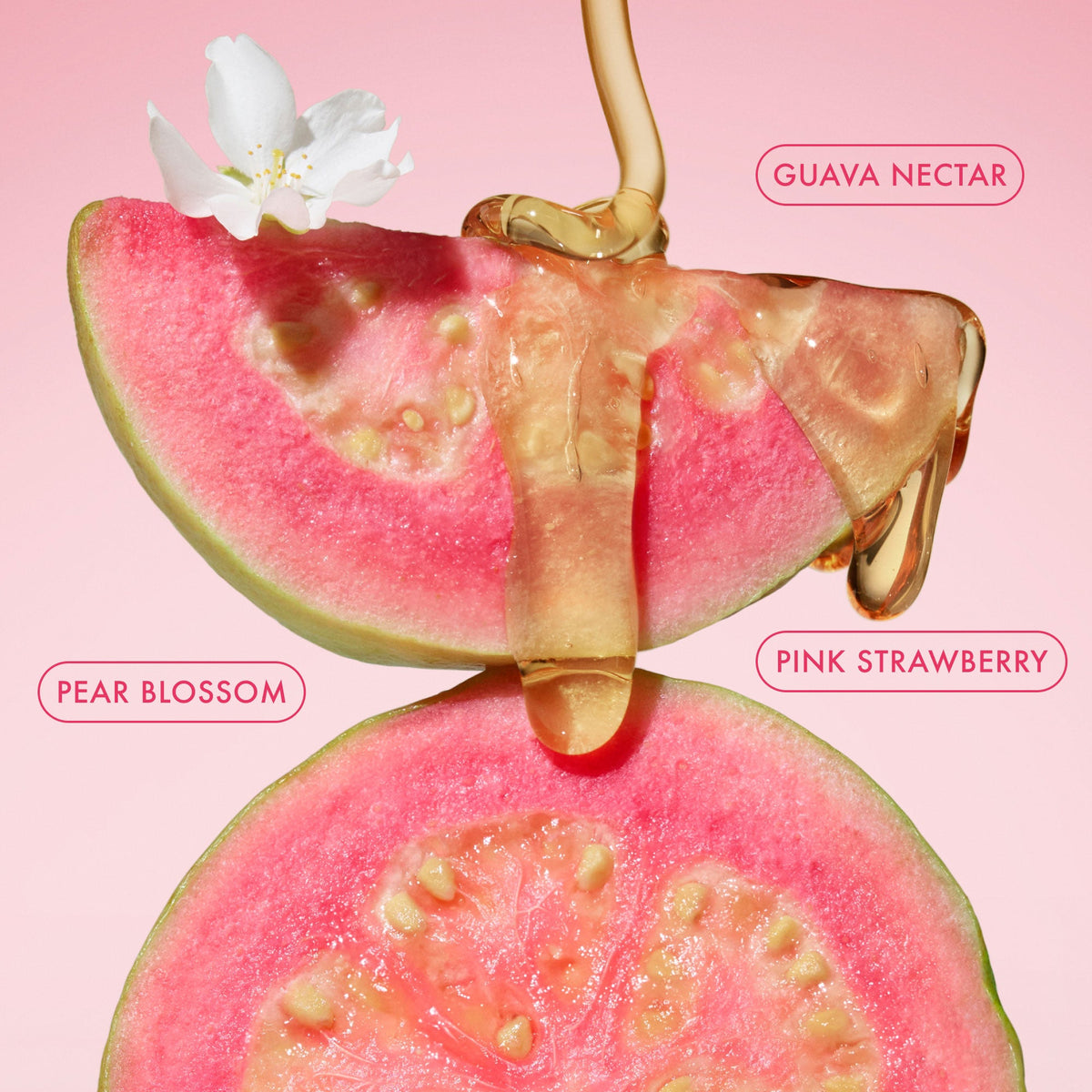 body-butter-balm-pink-guava-x6 BodyButterBalmPinkGuava_3.jpg