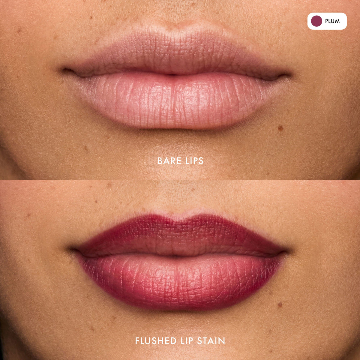flushed-lip-stain-plum-o1 FlushedLipStain_Plum_B_A.jpg