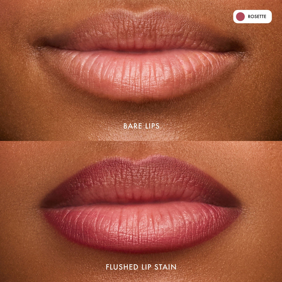 flushed-lip-stain-rosette-q3 FlushedLipStain_Rosette_B_A.jpg