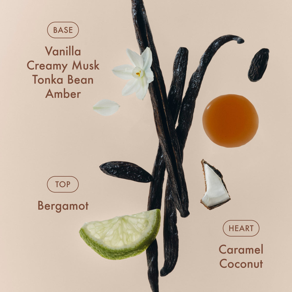 sunlit-vanillatm-eau-de-parfum-travel-size-e0 SunlitVanilla_4.jpg